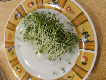 PHOTO-2026-03-12-20-49-31 3