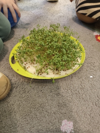 PHOTO-2026-03-12-20-49-31 4