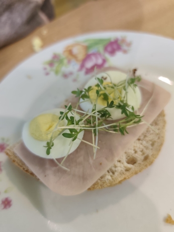 PHOTO-2026-03-12-20-49-32