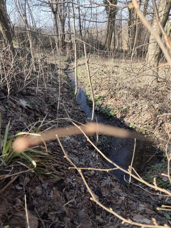 PHOTO-2026-03-12-20-59-48 4