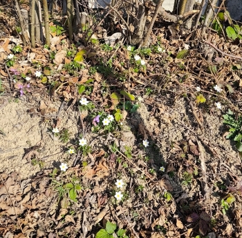 PHOTO-2026-03-12-20-59-48 3