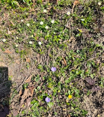 PHOTO-2026-03-12-20-59-49