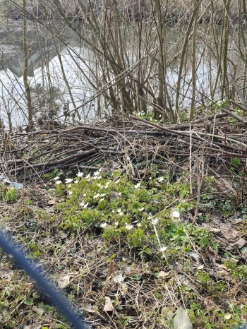 PHOTO-2026-03-20-23-11-57 8