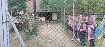 IMG-20260519-WA0002
