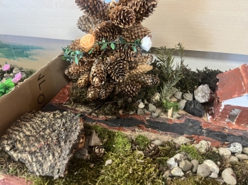 B01939D7-D4AC-4768-A2B8-28769D3EF646_1_105_c.jpeg
