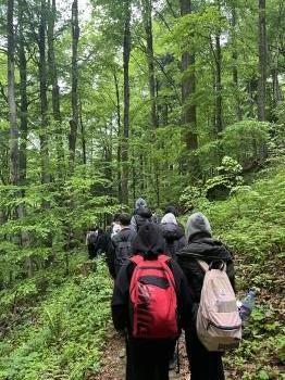 IMG_4918.jpeg