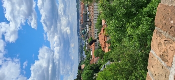 20250523_114751