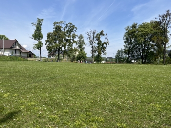 IMG_5566.jpeg