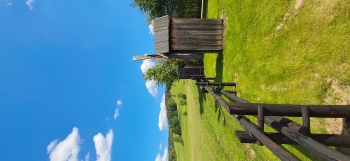 36