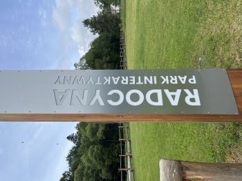 IMG_6007.jpeg