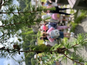 IMG_6022.jpeg