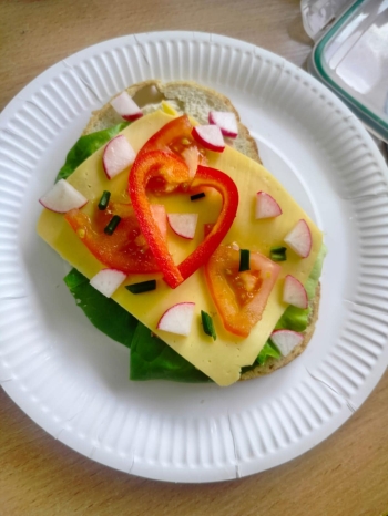 e82eba86-8554-424b-acd2-59b658f2f1e4 (1).jpeg