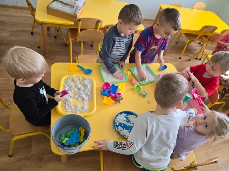 Biedronki - styczniowe aktywności 