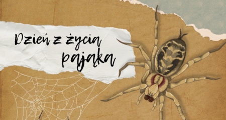 Konkurs Plastyczny ''Dzień z życia pająka''
