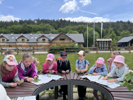 Wycieczka do Ekoparku Radocyna – Leśna przygoda pierwszaków